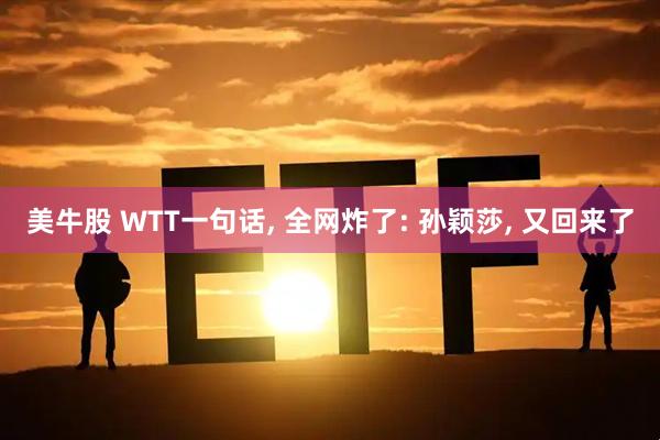 美牛股 WTT一句话, 全网炸了: 孙颖莎, 又回来了