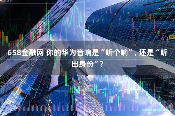 658金融网 你的华为音响是“听个响”, 还是“听出身份”?